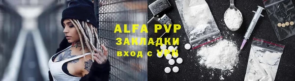 PSILOCYBIN Балахна