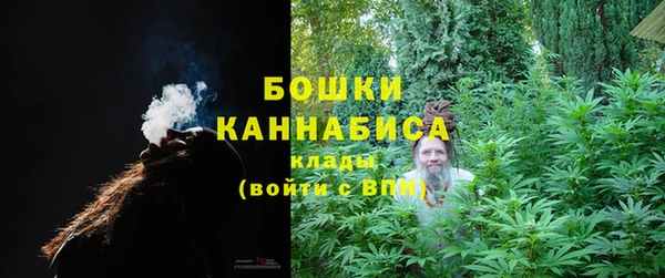 PSILOCYBIN Балахна