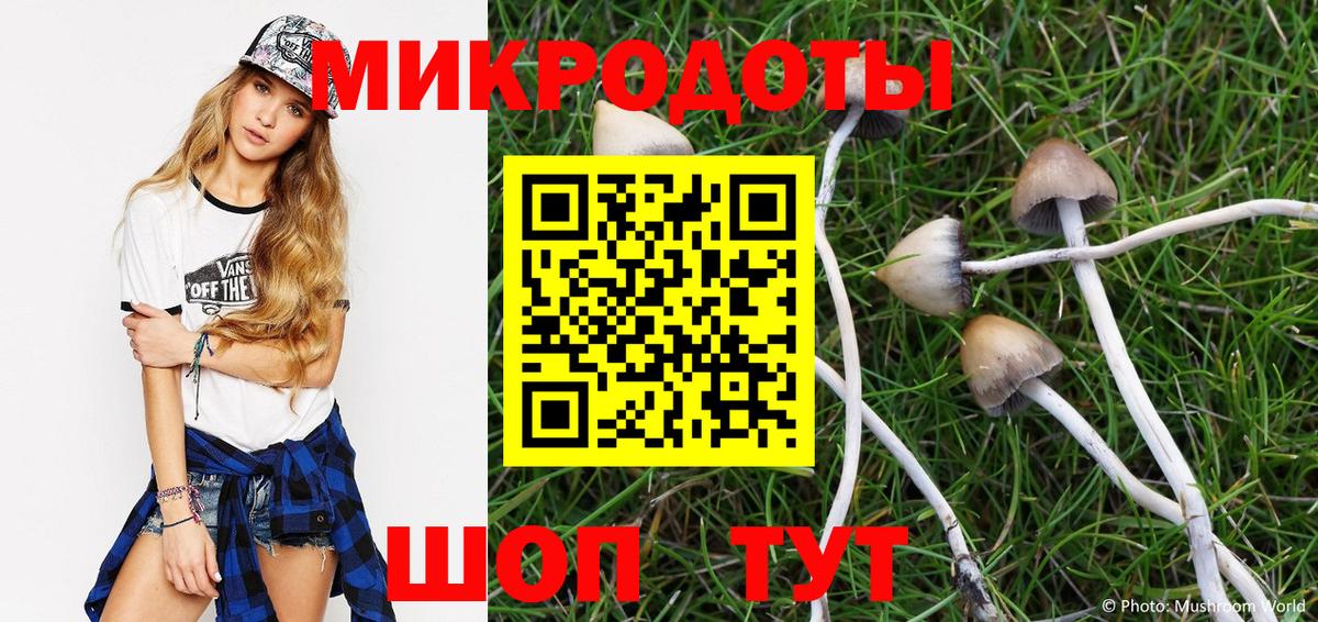 где можно купить   Галлюциногенные грибы Cubensis  Вход с VPN  Кунгур 