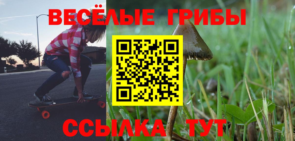 Галлюциногенные грибы мицелий Кунгур