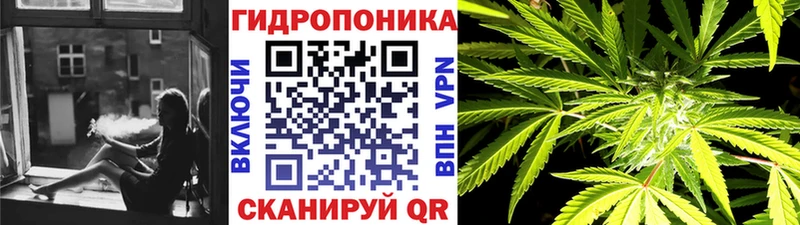 МАРИХУАНА сатива  kraken ONION  Кунгур 